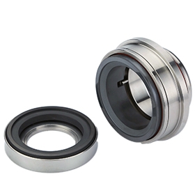 Andritz Pump Seals