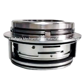 EBARA/EUREKA Pump Seals